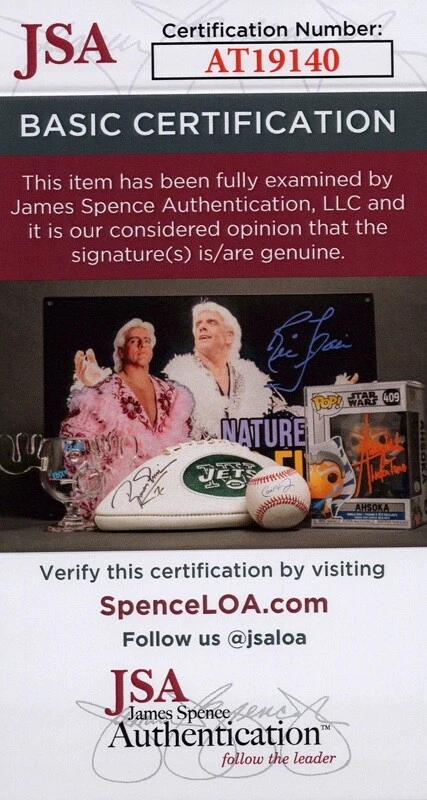 马蒂娜·辛吉斯签名 11 x 14 照片证明亲笔签名网球完整签名 JSA 正品证书 — 第 2/4 张图片