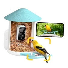 Birdfy Smart Bird Feeder with Camera Auto Capture Each Bird Come & Blue AI