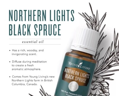 Young Living Essential Oil - Northern Lights Black Spruce 5ml New