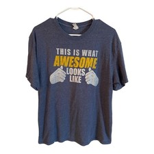 This is What Awesome Looks Like T-Shirt Sz Lg Blue Gray Color