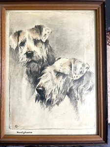 Sealyham TERRIERS Dogs Print Arthur Warble W/Frame Wall Decor Antique?