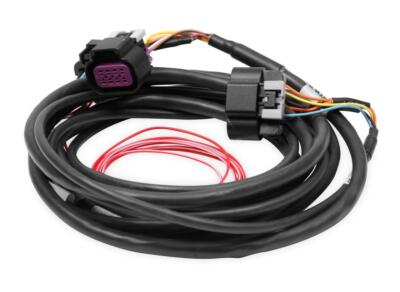 Holley Fuel Injection Harness - Terminator X Drive By Wire Harness