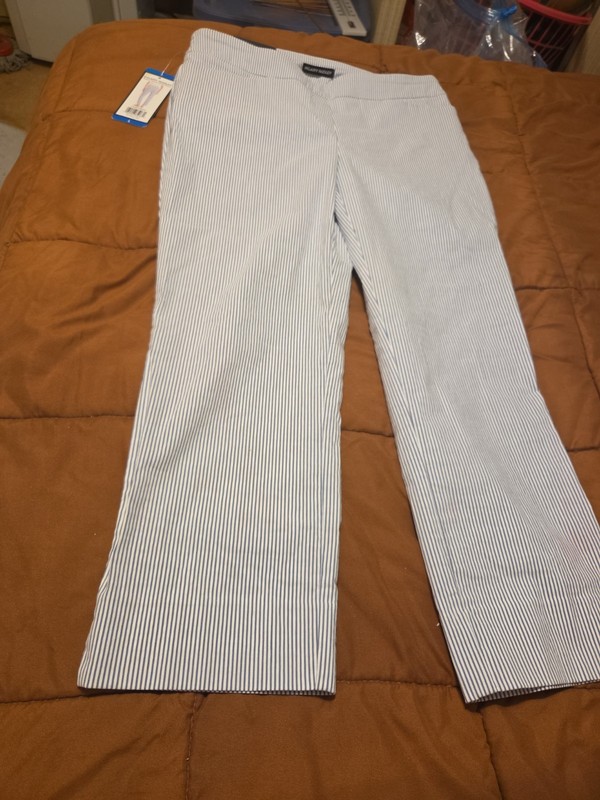 NWT Hilary Radley Size Large Womens Blue Straight Leg Casual Short Pants 
