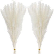 60 Pcs White Pampas Grass ,17 inch/45 cm Natural Dried Pampas Grass Branches Dec