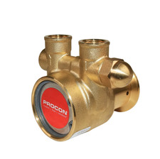 PROCON 112A015F11BA - 3/8" NPT Brass Rotary Vane Pump Series 2