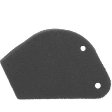 NEW Air Filter Insert, Filter Insert for Atala Lepton 50