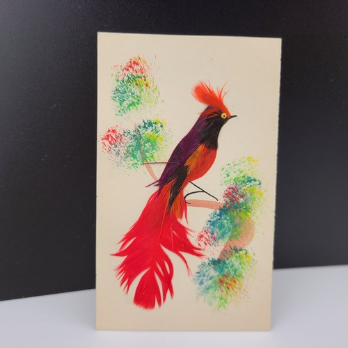Bird Folk Art Feather Artwork Message to a Friend written in 1947 made in Mexico