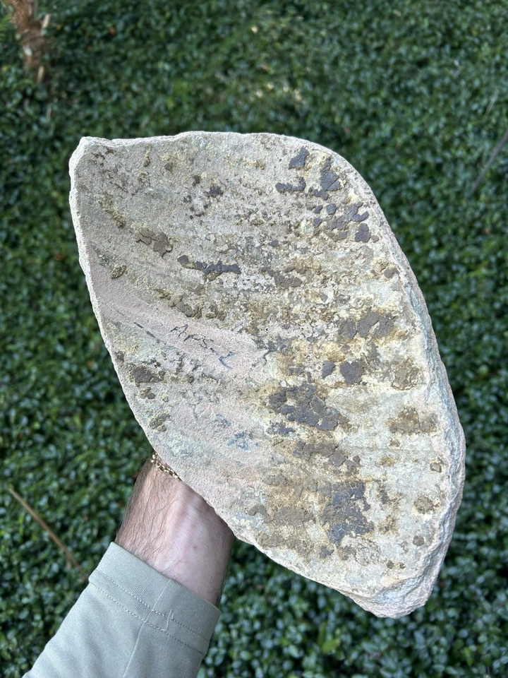 Artefacto de cerámica del naufragio de Atocha Mel Fisher Treasure para fanáticos de la flota 1715 Foto 4 de 4