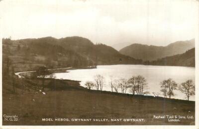 Nant Gwynant Wales Moel Hebog, Gwynant Valley OLD PHOTO