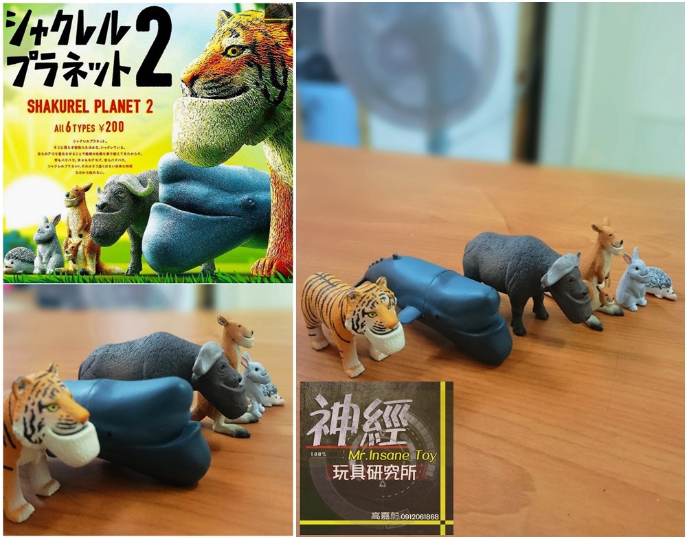Takara Tomy Capsule Toy Panda's Ana Shakurel Planet Part2