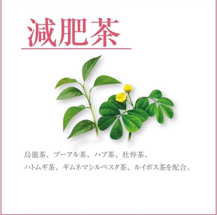 Orihiro Japan Genpi  Fertilized Roasted Tea  3g x 48pcs ×3bag