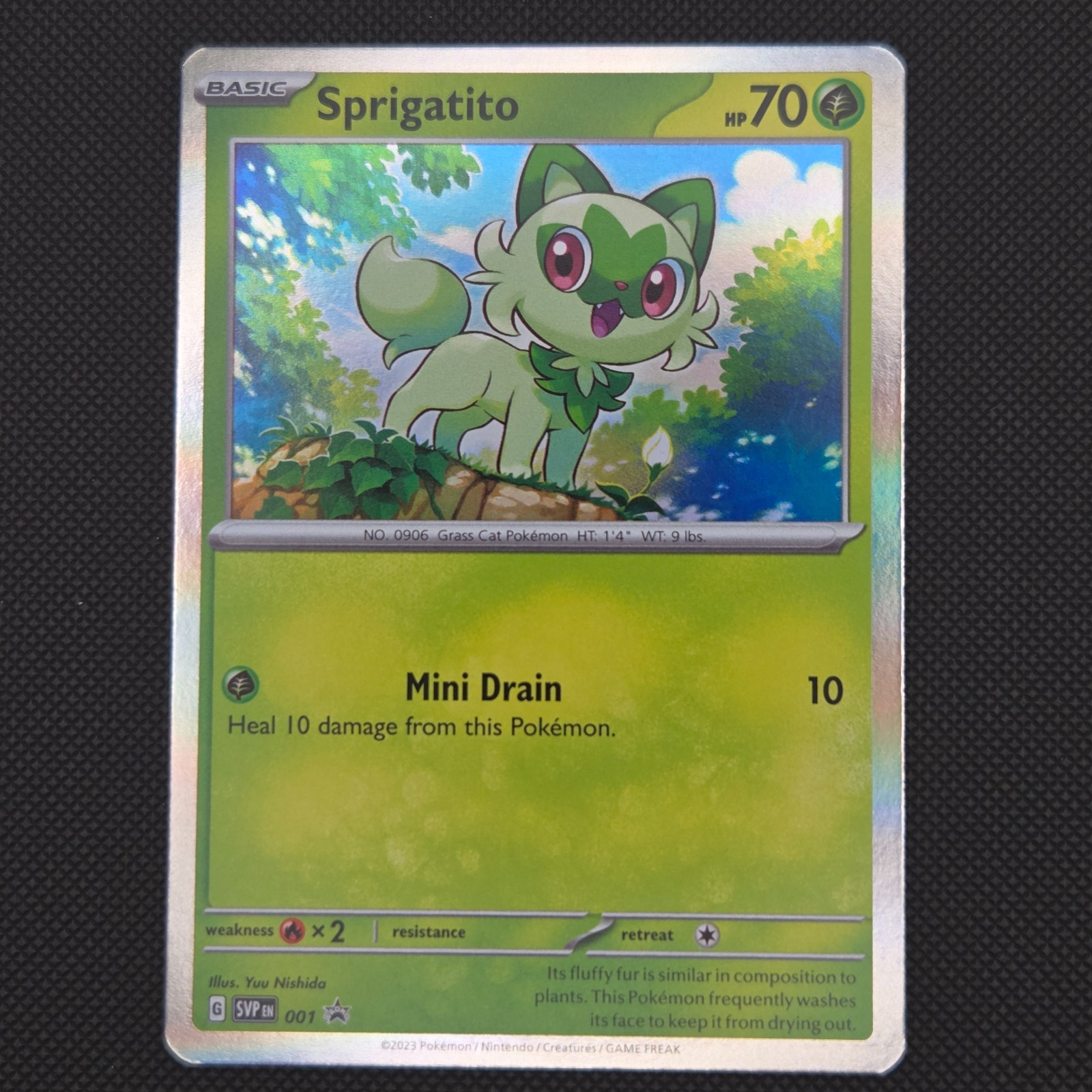 Sprigatito 001 Promo - SVP SV: Scarlet & Violet Black Star Promo - NM/Mint