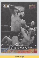 2023 Upper Deck AEW All Elite Wrestling UD Canvas Black QT Marshall READ 1u6