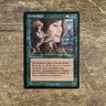 Elvish Bard LP Alliances 1996 MTG Magic the Gathering TCG