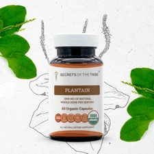 Secrets Of The Tribe Plantain Capsules, 500 mg