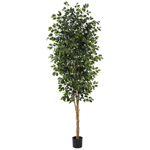 ARTIFICIAL FICUS TREE 3-8 Ft Plants Choose Your Size - Picture 9 of 17