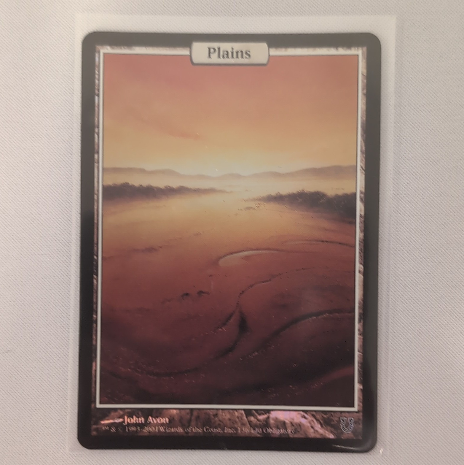 MTG Plains FOIL - Unhinged
