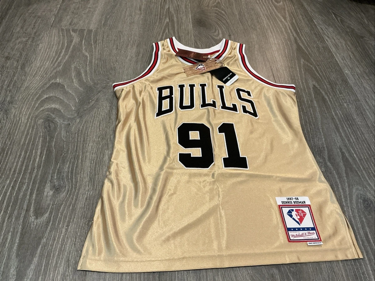 Preços baixos em Dennis Rodman Chicago Bulls NBA Camisas
