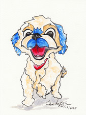 Original Watercolor Fine Art Print - Dog, Shih Tzu - Open Edition 8x6”