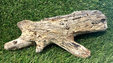 Natural Driftwood for Fish  Reptile Aquariums, Crafts, Landscapes, Decor 11x5x3