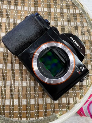 Sony A7R 36MP Camera Body - Full Frame Mirrorless - No OLPF - High Resolution