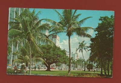USA - MIAMI - Boulevard Biscayne ..... (Ref. F1041)