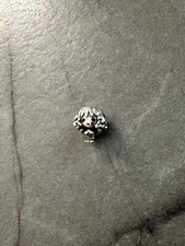 Pandora Genuine S925 Disney Harry Potter Hermione Grainger Hogwarts Charm