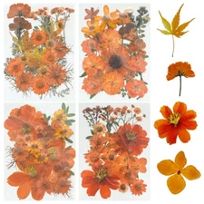 4 Pack 85 Pcs Orange Dried Pressed Flowers Real Natural Leaves for Resin Molds