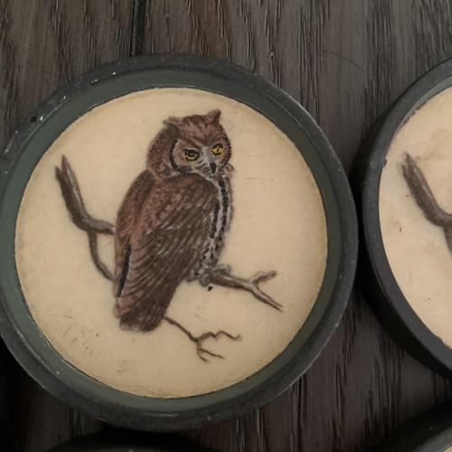 Set of 5 Vintage Rare Metal & Fiberglass Hand Painted Owl Coasters 3.5 in. - Picture 6 of 9
