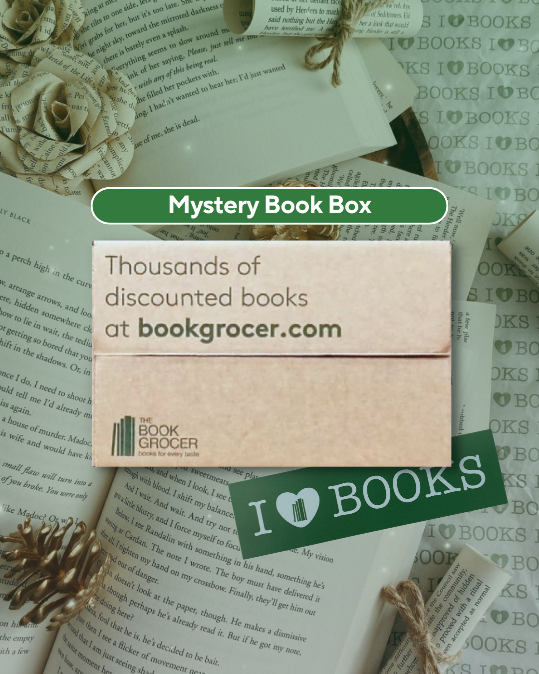 Mystery Bargain Box