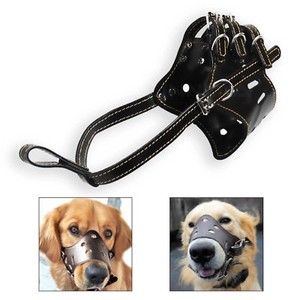 muzzle biting chewing barking