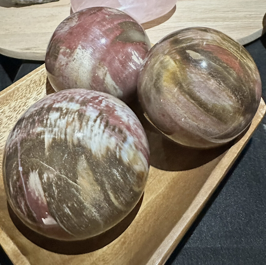 Polished petrified wood sphere | eBay