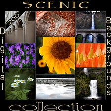 Digital Photography Backgrounds Photo Studio Backdrops Stock Scenic Images h