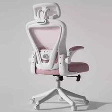 Ergonomic Executive Chair with Lumbar Support Mesh Home Office Chair Desk Chair