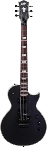 IYV 6 String IYV-ILP-400FR Solid Body wilth Floyld Rose Tremelo Electric Guitar