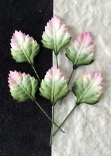 20 Sunflower Leaves tiny Variegated leaf Floral wreath Dolls miniature Hats card