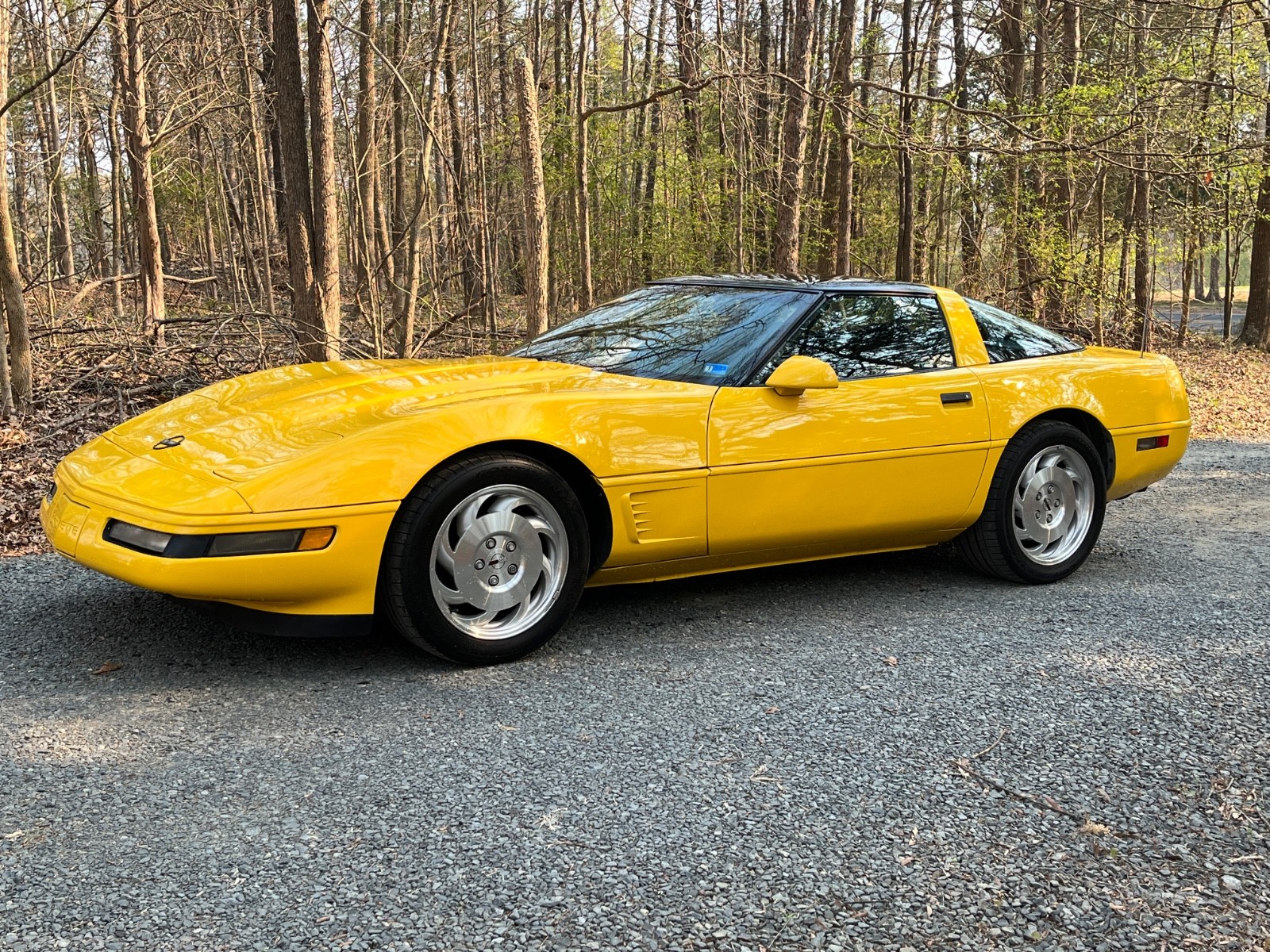 1995 Chevrolet Corvette for sale in Midland North Carolina