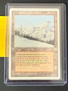 Revised Taiga | eBay