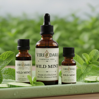 Organic Wild Mint Essential Oil   100% Pure & Natural   Free Shipping