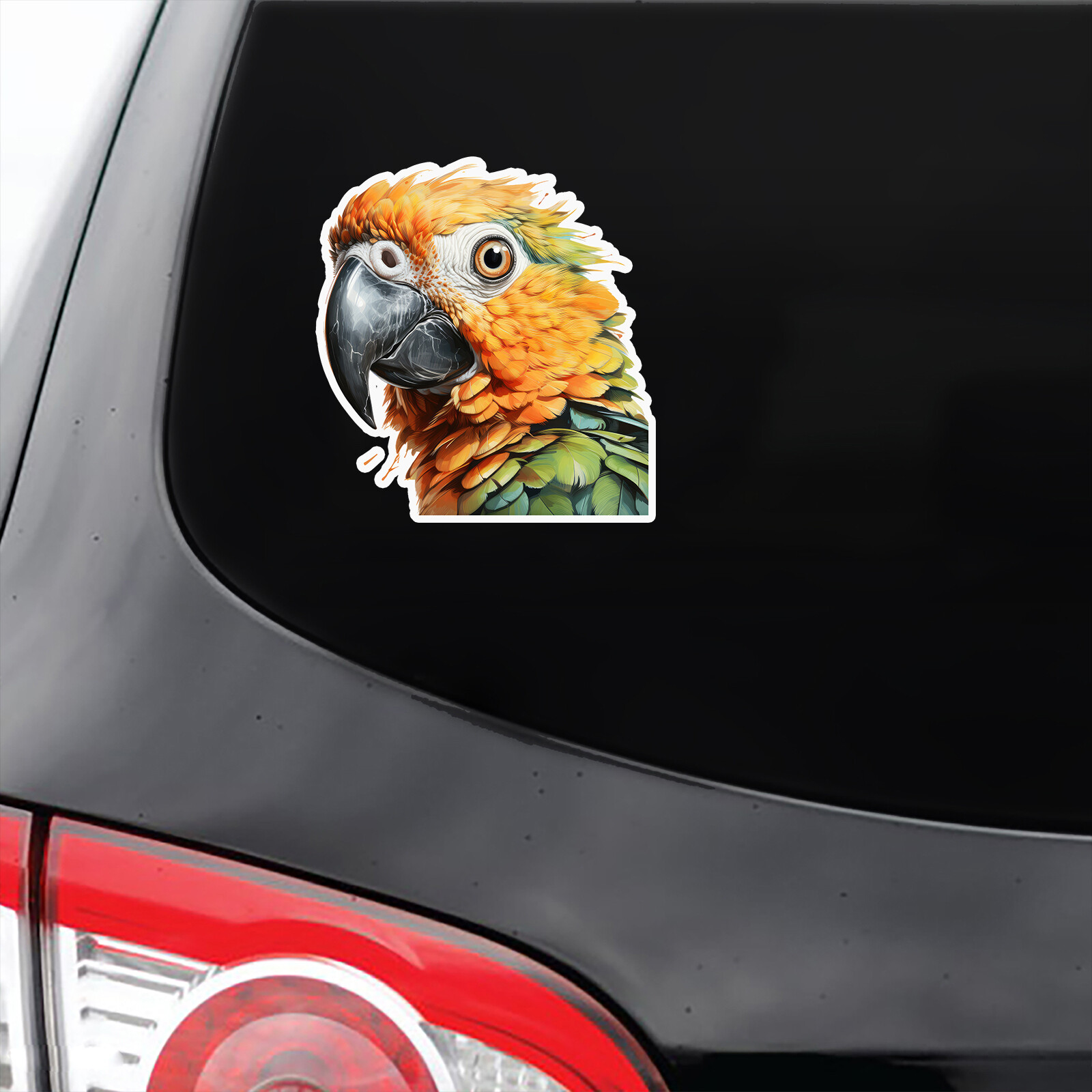 Parrot Psittaciformes Happy Vinyl Decal Sticker Indoor Outdoor 4 Sizes ...