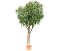 Weiden Kunstbaum 300Cm Mit 4592 Textilfaser BläTter Uv-Sicher Und NaturstäMmen