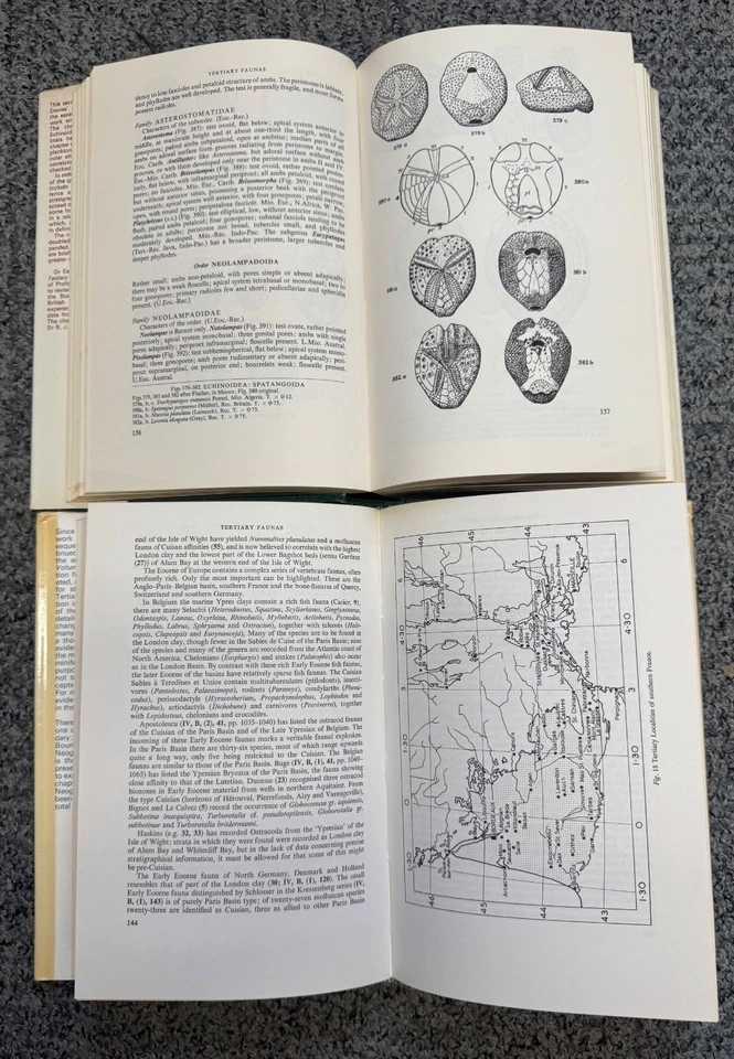 2 vols Tertiary Faunas Morley Davies. hardcover good condition 1975 second Ed. - Image 3 of 4