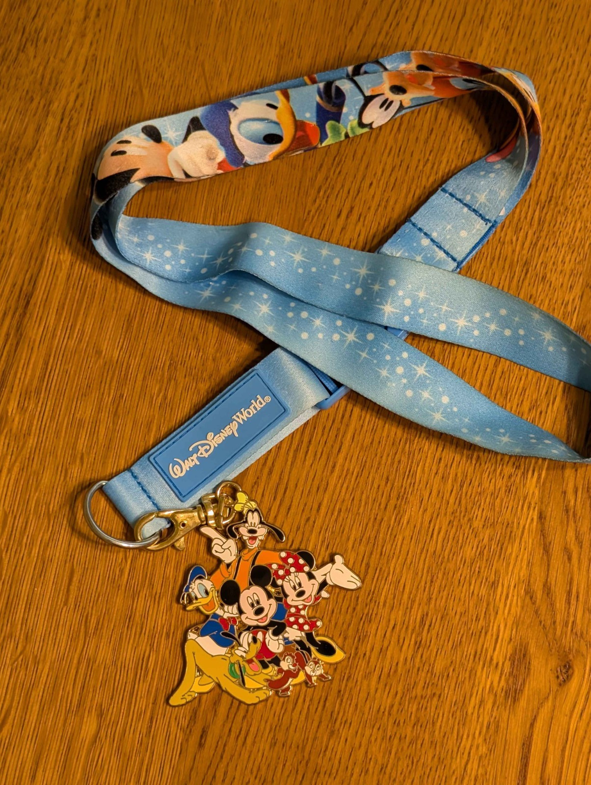 2008 Walt Disney World Pin Trading Lanyard Medal Mickey & Friends/Gang Medallion