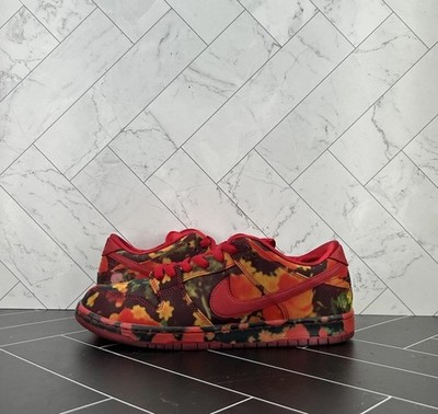 The Wizard of Oz x Nike Dunk SB Low Poppy Field Size 11 FZ1291-600