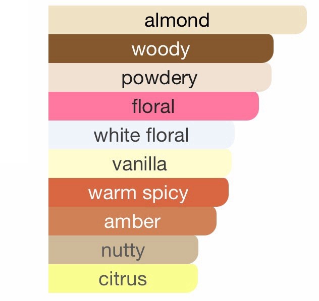 Michael Kors Wanderlust Eau De Parfum, Shower Gel & Body Lotion Gift Set 300 ML