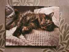 Large Personalised Framed Canvas Print Photo Image Picture - Ready to hang. 