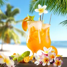 Aloha Ecos Fragrance Oil