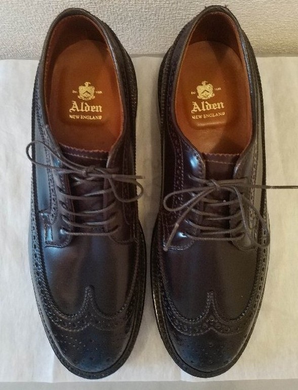 Alden 975 Color 8 Shell Cordovan Long Wing Blucher | Alden Model