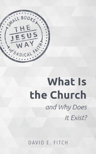 Thumbnail - David E Fitch What Is The Church And Why Does It Exist? (taschenbuch)