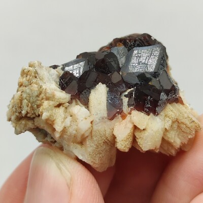 Andradite garnet crystals On Matrix On Albite In Step Formation Structure, 16g